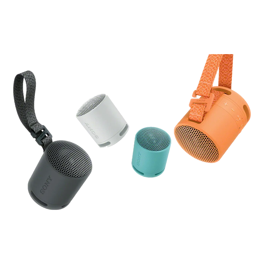 Sony SRS-XB100 Wireless Portable Speaker