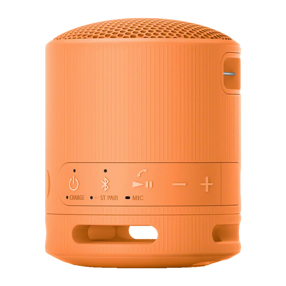 Sony SRS-XB100 Wireless Portable Speaker - Image 6